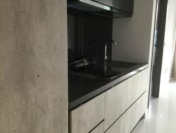 The Rise @ Oxley (D9), Condominium #565824831